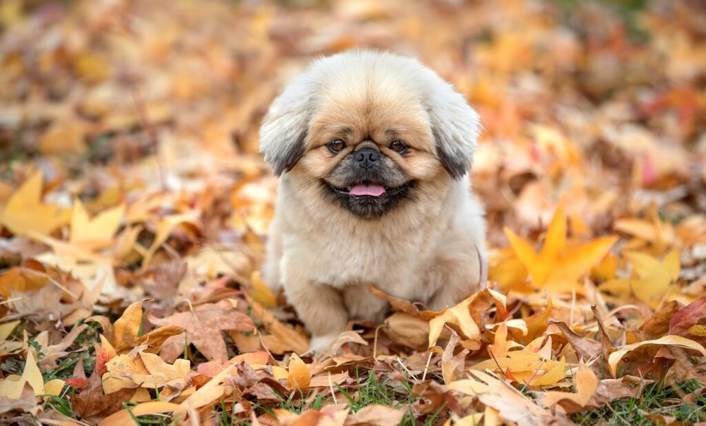 第二新卒はいつまでに就職活動を始めるべきか？