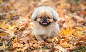 第二新卒はいつまでに就職活動を始めるべきか？