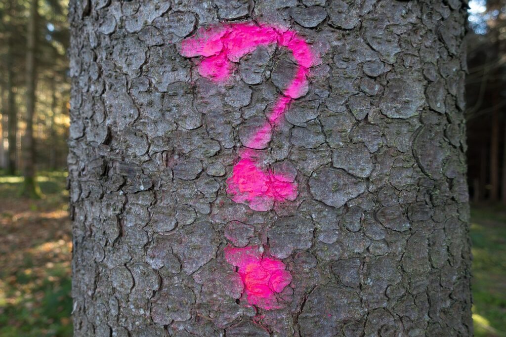 第二新卒の転職面接で注意すべき非言語コミュニケーションとは？