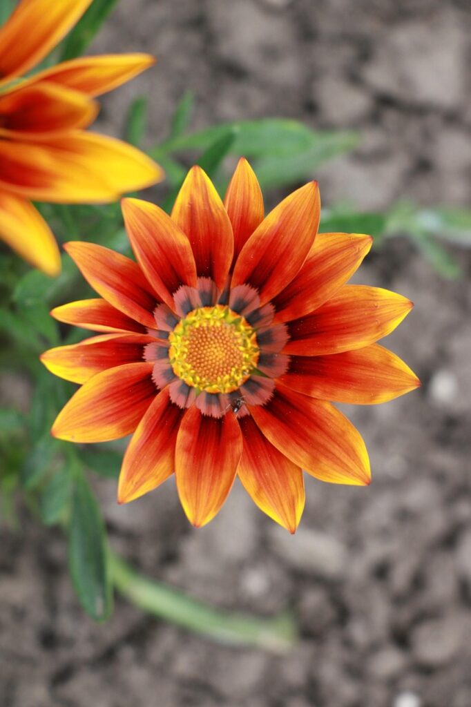 転職を考える第二新卒はいつまでに行動すべき？