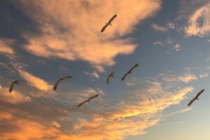 第二新卒が転職して派遣から正社員に移行するためのポイントは？