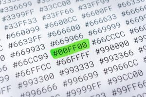 第二新卒が転職でやりがいを重視した職探しのポイントは？