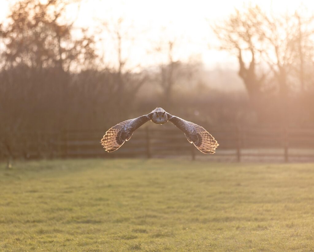 第二新卒の初心者向け職務経歴書の書き方は？
