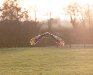 第二新卒の初心者向け職務経歴書の書き方は？