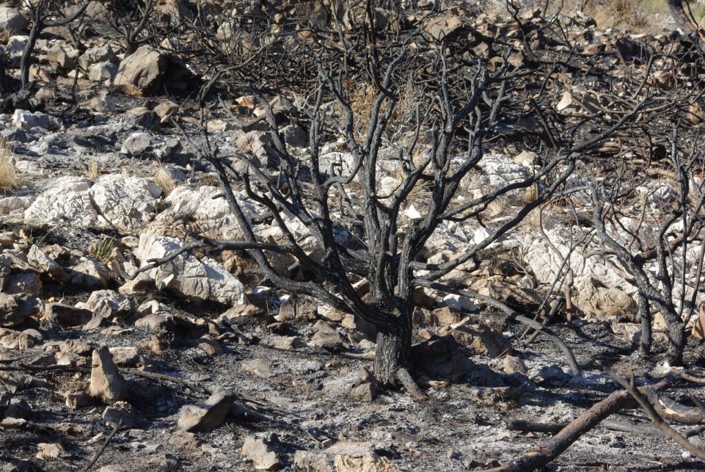 第二新卒の女性が転職する際に押さえておくべき特有のポイントは？