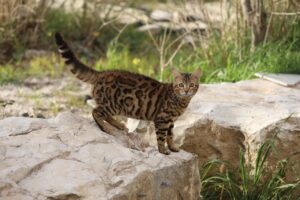 第二新卒の転職で失敗した体験談から得た学びとは？