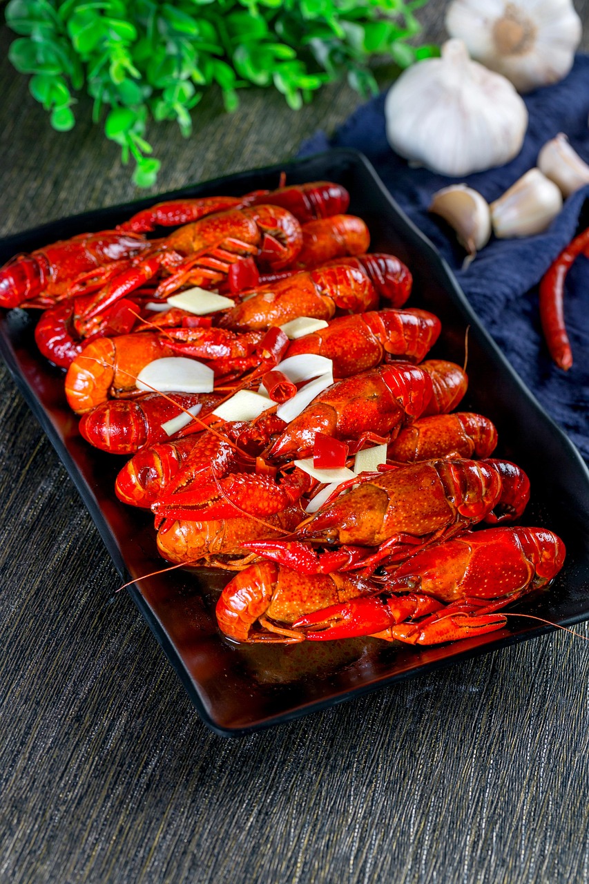 第二新卒のための適性検査対策におけるWebテストのポイントは？