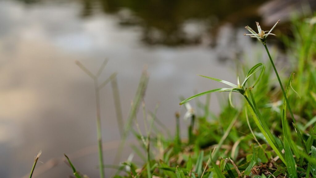 第二新卒の自己PRを構成するためのSTAR法テンプレは？