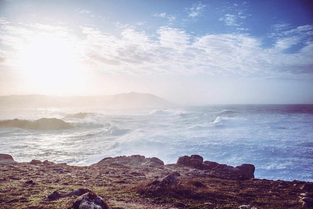第二新卒向けの東京で求人が多い業界はどこですか？