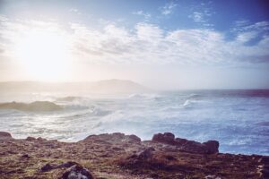 第二新卒向けの東京で求人が多い業界はどこですか？