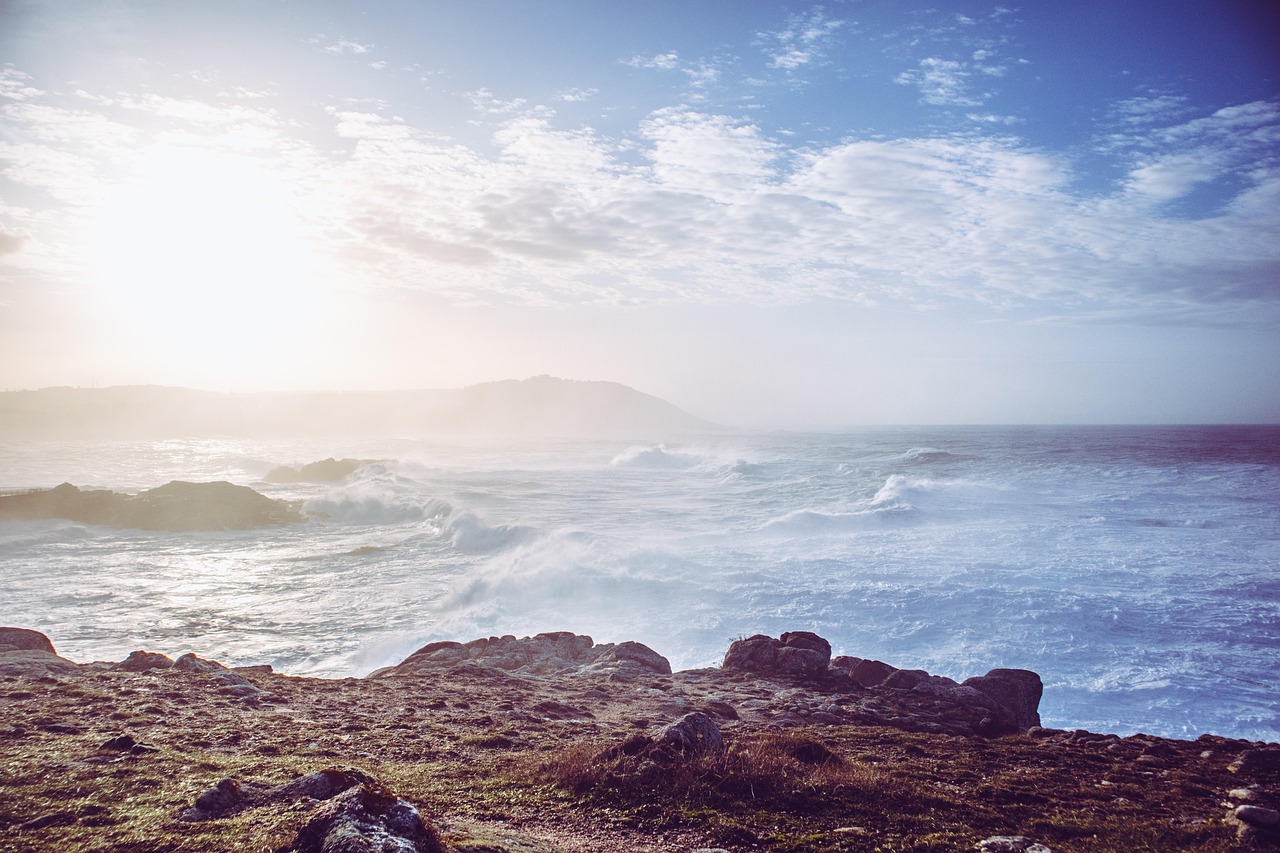 第二新卒向けの東京で求人が多い業界はどこですか？