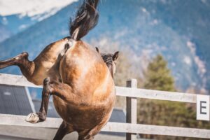 第二新卒の2年目で転職エージェントのゴリ押しを断る方法は？