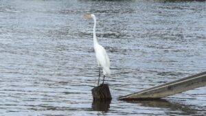 第二新卒の3年目面接で私服指定はどこまで許される？