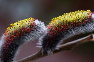 第二新卒が未経験から転職する際のエージェント複数登録のコツは？