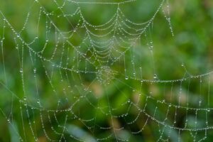 第二新卒のWebマーケターが面接でよく聞かれる質問とその対策は？