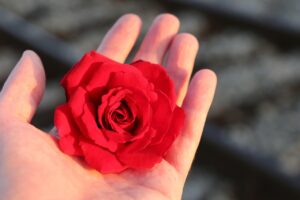 転職を考える第二新卒のための相談方法は？